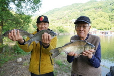 [추천 유료터]  안성 장계낚시터_물 맑고 경치 좋고! 피서낚시에 딱이야!