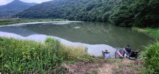 [추천 낚시터]  경남 고성 용안지_토종터 붕어들이 융단폭격 입질
