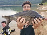 [추천 낚시터] 오름수위 특급 파로호 _물 만난 붕어들 동촌리 육초대로 집결
