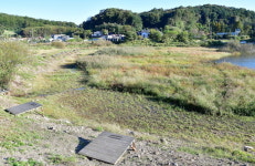 [연재 손태성의 유료터 탐방]  파주 직천낚시터_바닥 채비로도 허리급 떡붕어 가능합니다