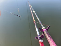 [연재] 손태성의 유료터 탐방_안성 산우물낚시터  하절기 방불케 하는 마릿수에 당혹