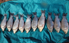 [현장기] 사천 노례소류지_향어 양식장에서 월척 붕어터로 대변신