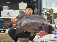 [시즌 피크]  제주도 돌돔 찌낚시 6짜 속출 60, 62, 67.3cm 이러다 7짜 낚일라