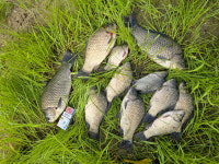 [호황현장] 13년 만에 찾은 강진 오산지 배스 유입 후 어김없이 4짜 대물터로 변신!