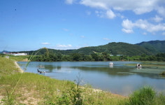 [추천 낚시터] 진안 반월제 8년 만의 5짜 소식에 마이산이 들썩