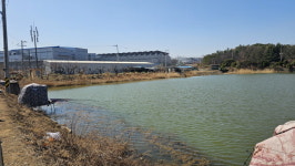 [추천 낚시터] 경산 부제지 씨알, 마릿수 다 좋은데 수달이 문제야!