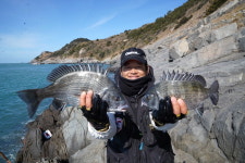 [추천 낚시터]  추자 횡간도 감성돔낚시  과연 민박 도보낚시의 성지라 부를만하군!