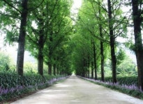 전남산림자원연구소 숲속의 전남 싱크탱크로