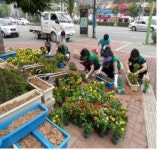 이로동주민센터, 민들레ㆍ메리골드 500본 식재