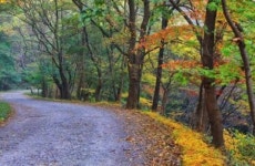 걷기 좋은 너릿재 옛길 아름다운 명품거리 조성