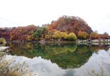 노래 따라 걸어 볼까 밀양 아리랑길 인기