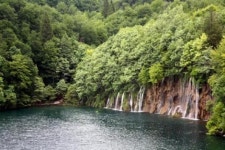 동화 주인공 뛰어나올듯한 숲