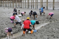 무안 황토갯벌축제, 해수부 우수축제 선정