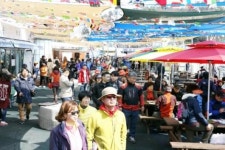강진 마량놀토수산시장 개장… 전국 인파로 북적북적