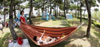 광주시청 소나무숲 5월 피서객