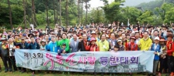 푸르른 무등산 더욱 아름답게 가꾸자