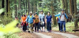 산림욕은 언제나 즐거워