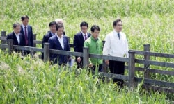 운정동 태양광 감사 착수… 윤 시장 진상 규명을