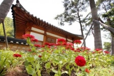 광주전통문화관 꽃대궐로 변신
