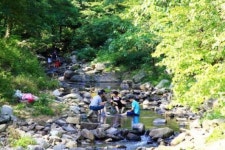 본격 피서철, 한재골은 아직 한산