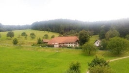 260년 된 농장, 세계 배낭족 몰려든다