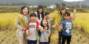 친환경 해남쌀 체험하러 부산에서 왔어요