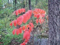 소금 귀했던 시절… 산 속 염분