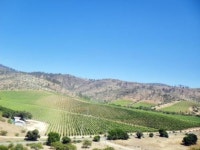 천혜의 자연환경 속 탄생한 명품