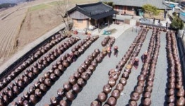 강진군 신기마을 장 담그기 한창