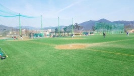 야구 선수ㆍ동호인들 곡성으로 몰린다