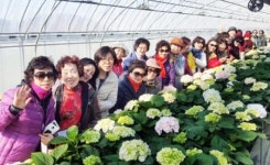 강진군, 수도권 소비자 초청 귀농팜투어 진행