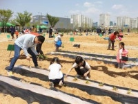 나주 빛가람 공원텃밭 개장 주민소통 공간 기대