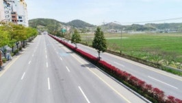 순천시 도로중앙분리대 녹색으로