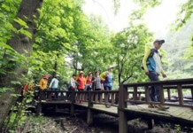 강진군 23~24일 초당림서 숲속 힐링 체험