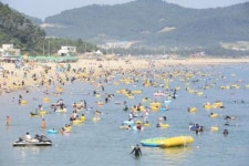 여름바다의 낭만, 전남 해수욕장서 즐겨요