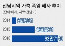 찜통 축사 전남지역 잇단 가축 폐사