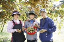 새콤달콤 보성참다래본격 출하