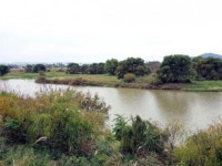 황룡강, 국가 습지보호지역 지정 청신호