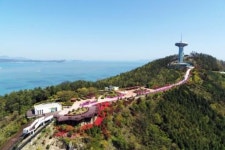 완도타워 다도해일출공원 인기