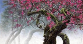 봄, 미술관에 피었네