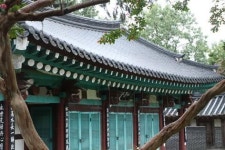 배롱나무 아래서 물었다 忠인가 孝인가, 무엇이 우선인가