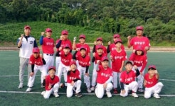미래의 류현진을 꿈꾼다 광주 남구리틀야구단 창단