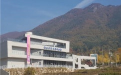화순 동구리 석봉미술관 인기