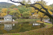 미암과 덕봉의 삶의 향기 그윽한 연계정을 산책하다.