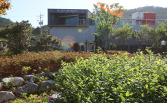 완도 신지 퍼핀스베이 리조트 파격 이벤트