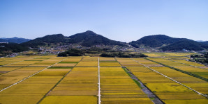 여수 소라면 가사리, 유기농 생태마을로