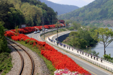 곡성군 섬진강변 걸으며 봄 기운 만끽하세요