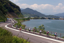 광양시 자전거 무료 대여소 운영