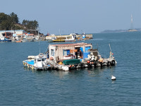 완도 금당면, 해상 거주 주민 구호