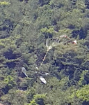 여수 야산서 경비행기 추락… 조종사 구조